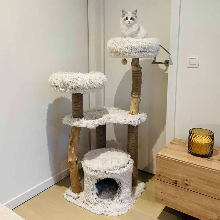 EBI Kratzbaum Marseille